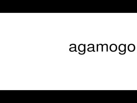 agamogony