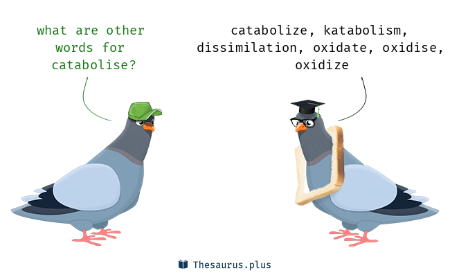 catabolise