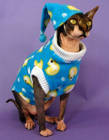 cat’s pajamas