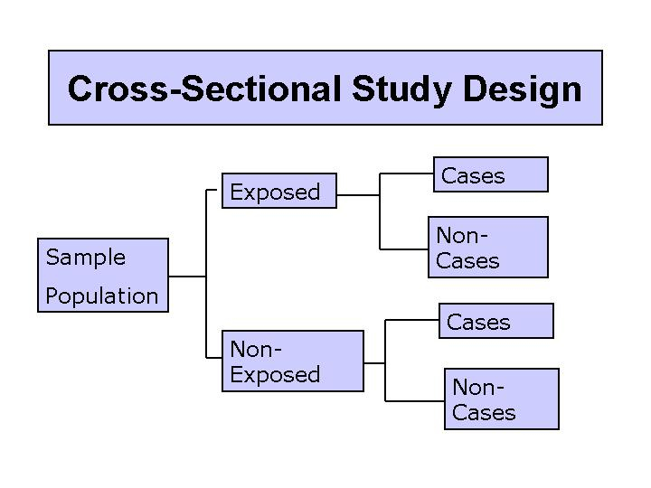cross-sectional study