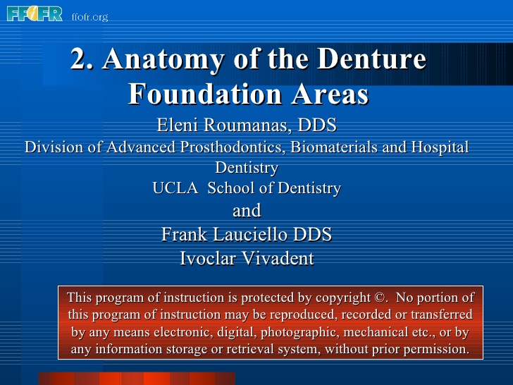 denture foundation