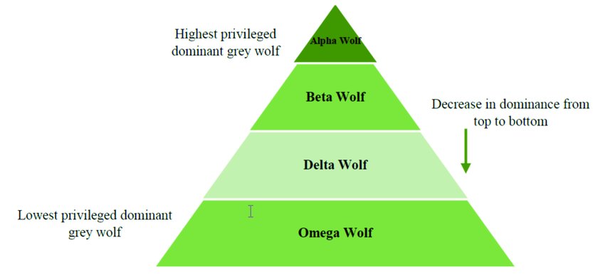 dominance hierarchy