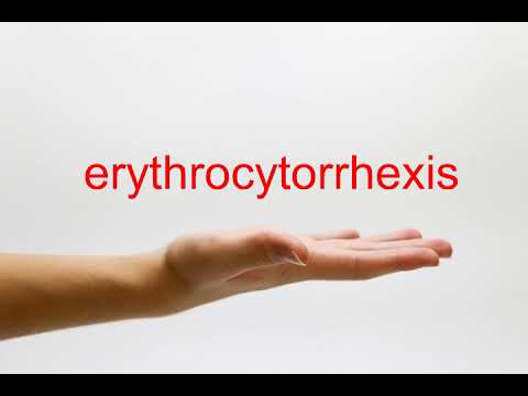 erythrocytorrhexis