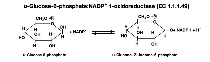 glucose-6-phosphate