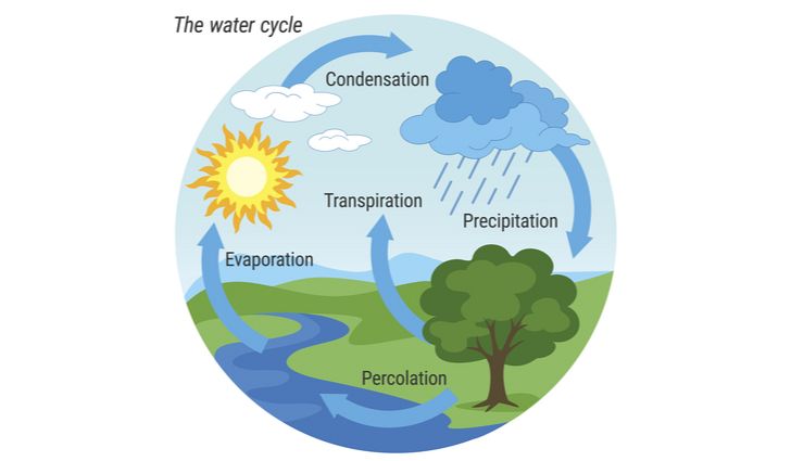 hydrologic cycle