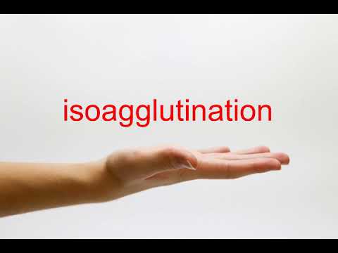 isoagglutination

isoagglutination

isoagglutination
