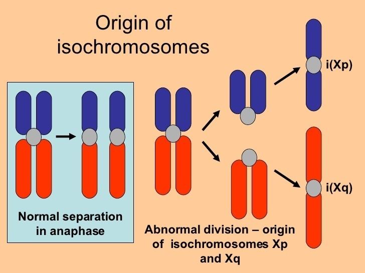 isochromosome