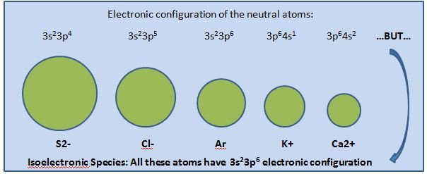 isoelectric period