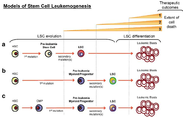 leukemogenesis