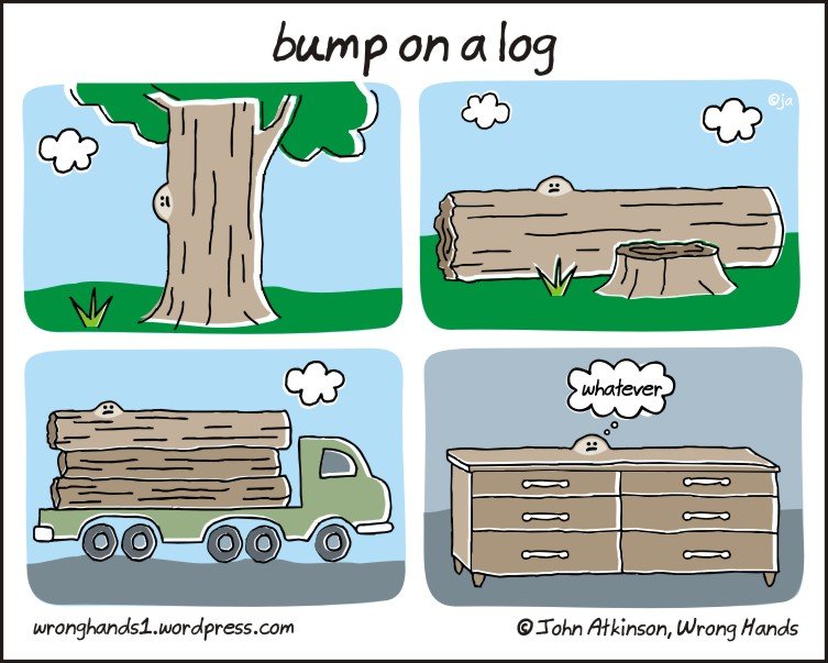 like a bump on a log