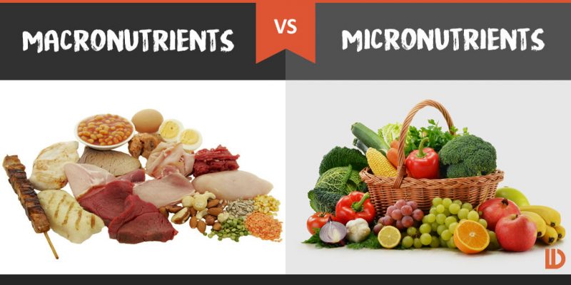 micronutrient