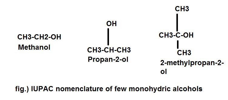 monohydric alcohol
