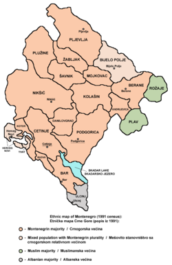 montenegrin