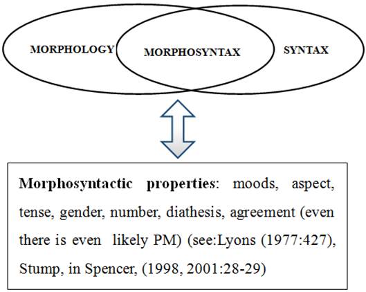 morphosyntactic
