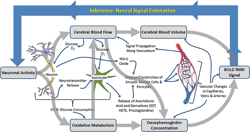 neurophysiological