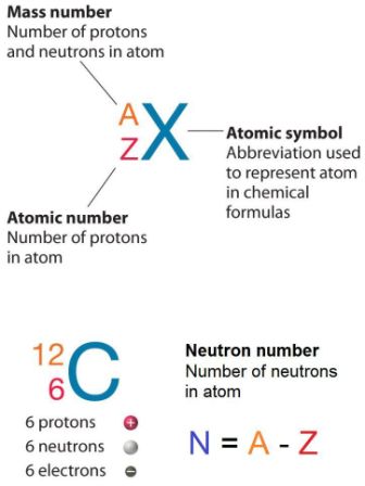 neutron number