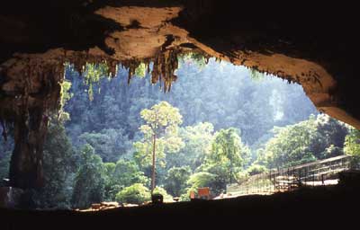 niah cave