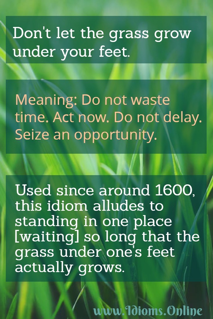 not let the grass grow under one's feet