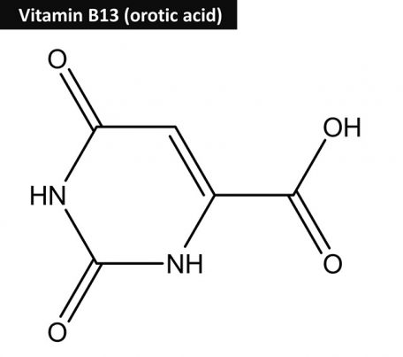 orotic acid