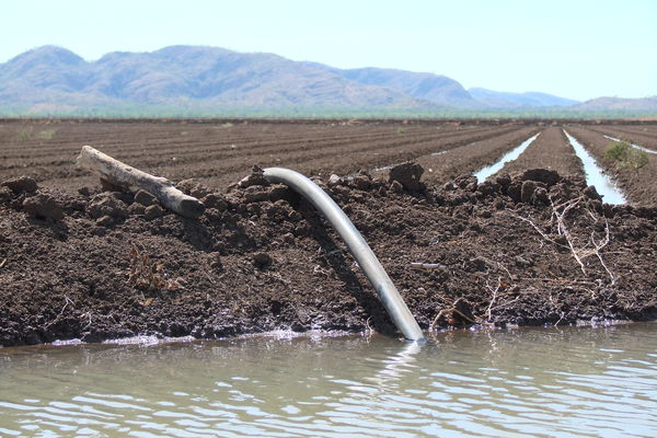 over-irrigation