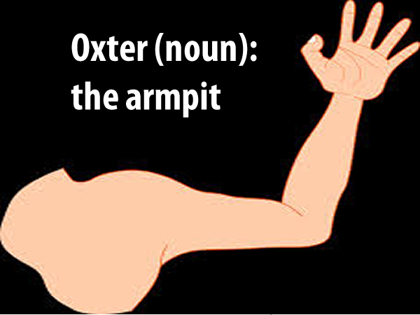 oxter