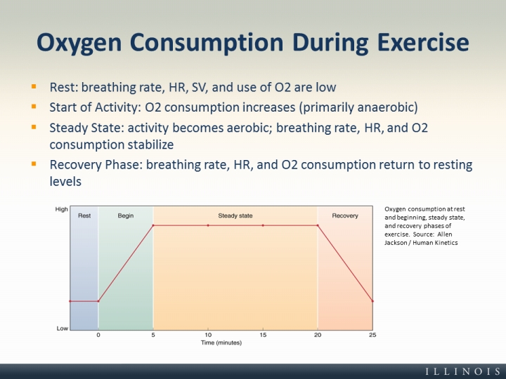 oxygen consumption