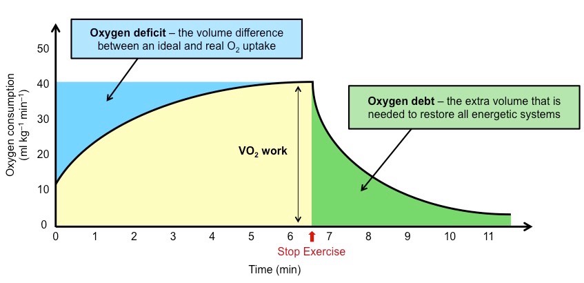 oxygen debt