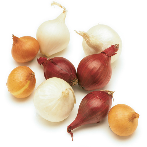 pearl onion