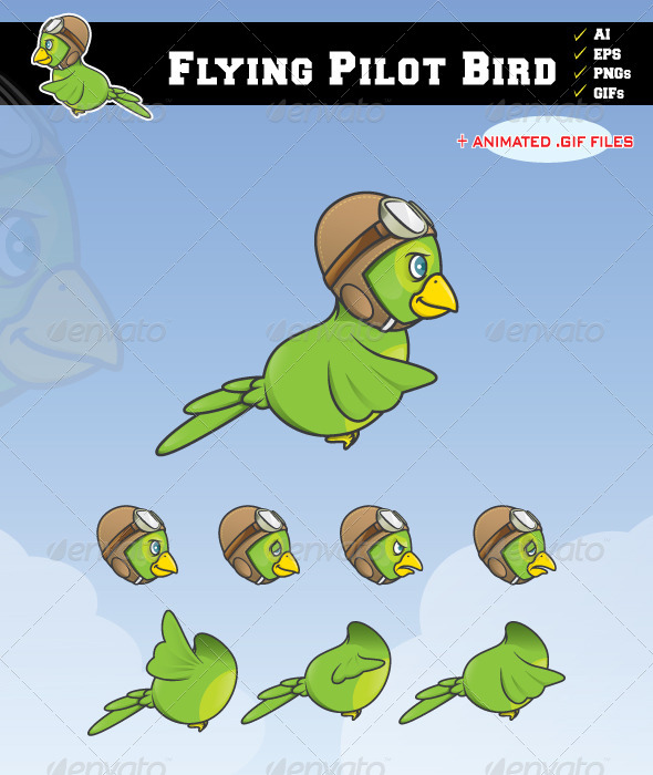pilot bird