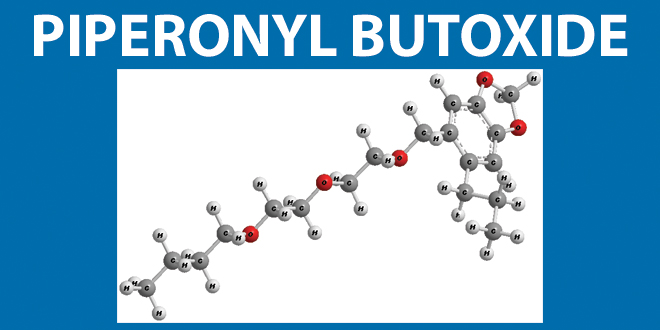 piperonyl butoxide