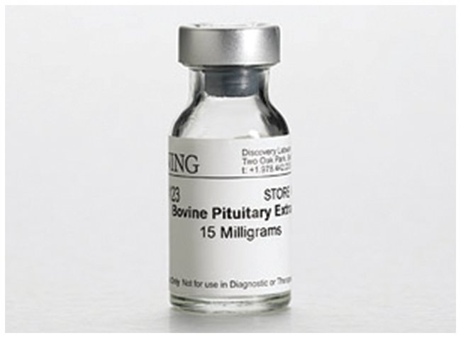pituitary extract