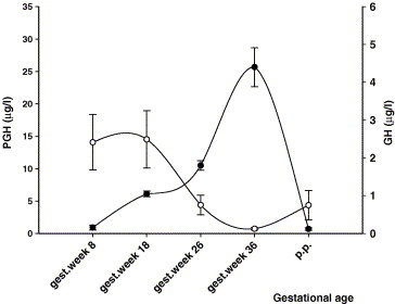 placental growth hormone