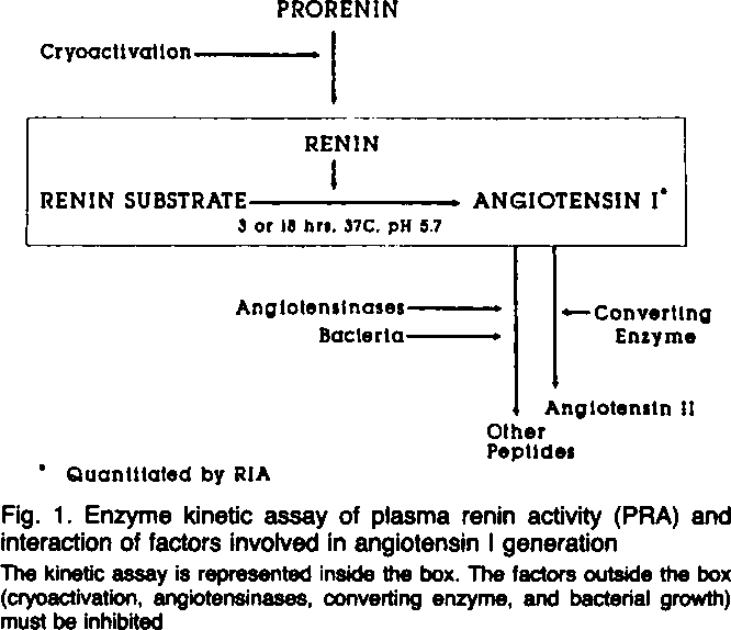 plasma renin activity