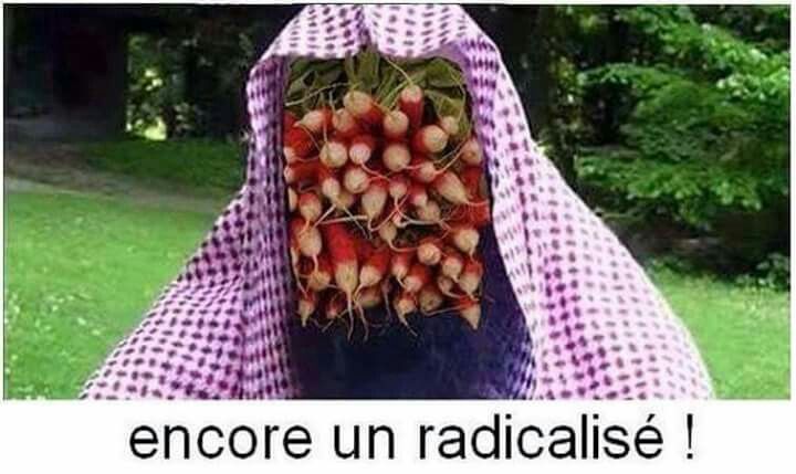 radicalise