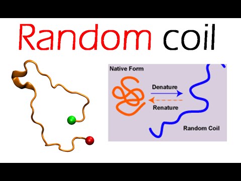 random coil