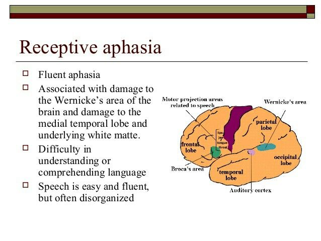 receptive aphasia