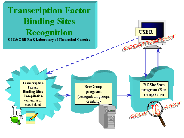 recognition factor