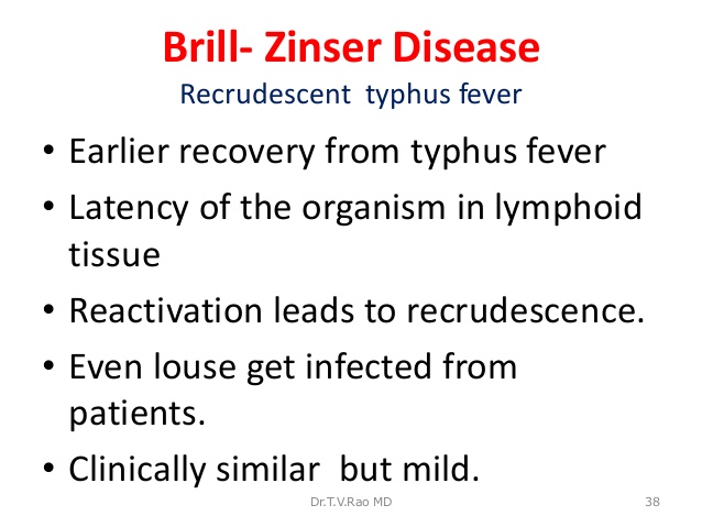 recrudescent typhus