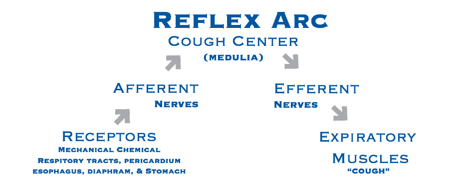 reflex cough