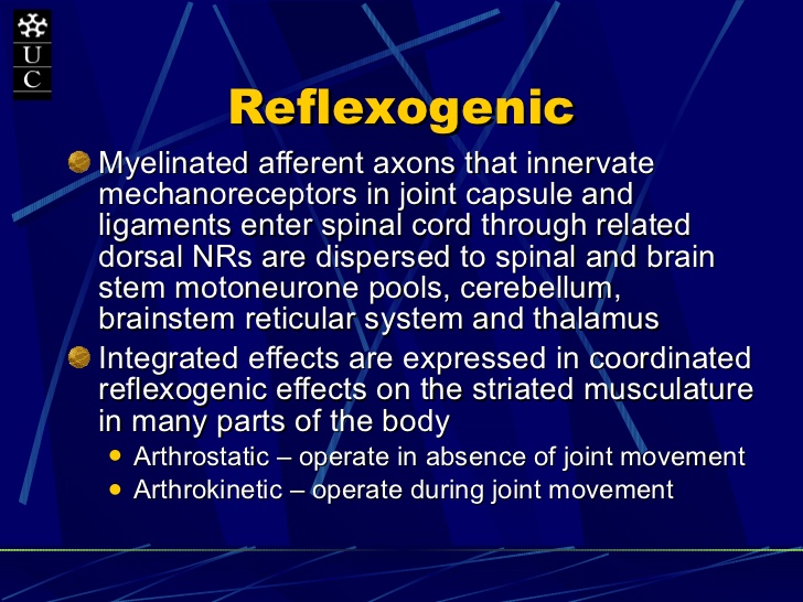 reflexogenic