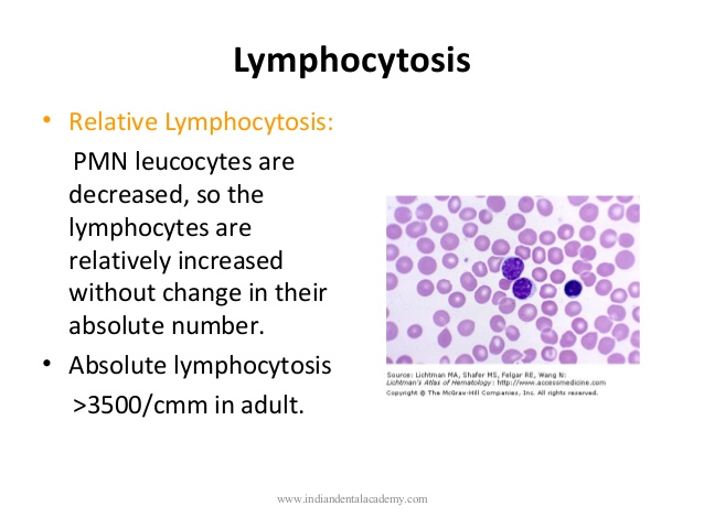 relative leukocytosis