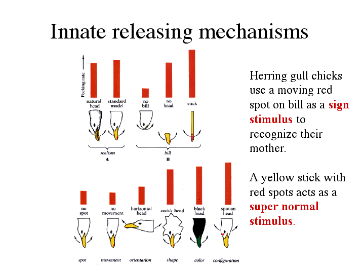 releasing mechanism