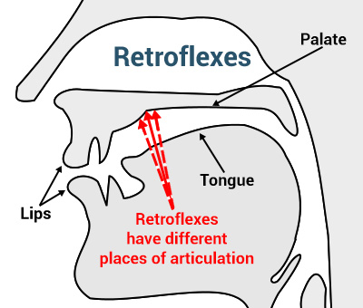 retroflex