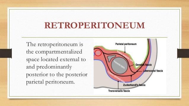 retroperitoneum