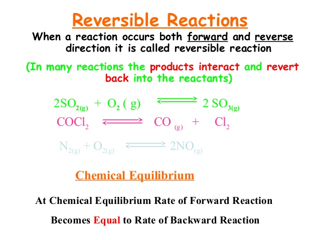 reversible reaction