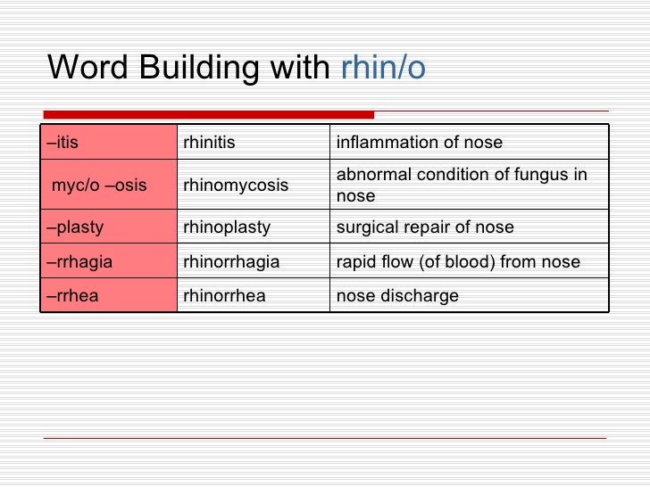 rhinomycosis