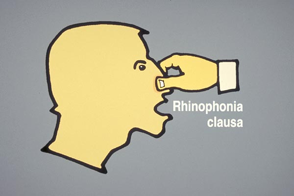 rhinophonia