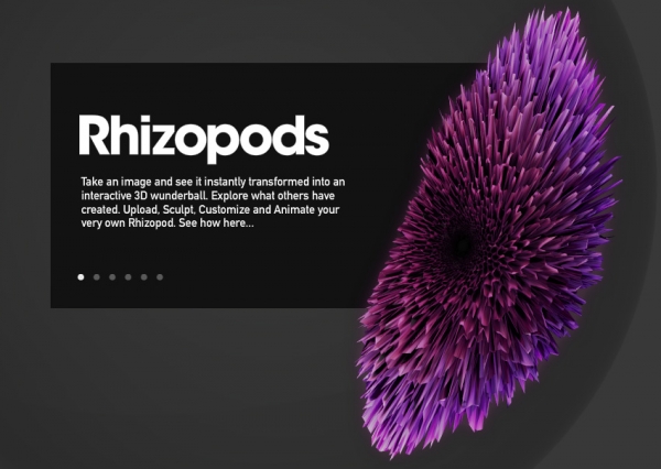 rhizopod