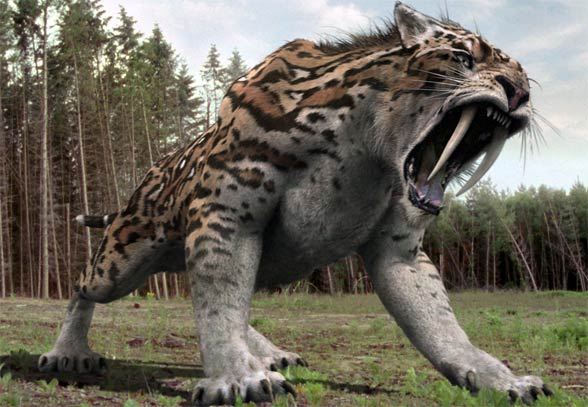 saber-toothed tiger