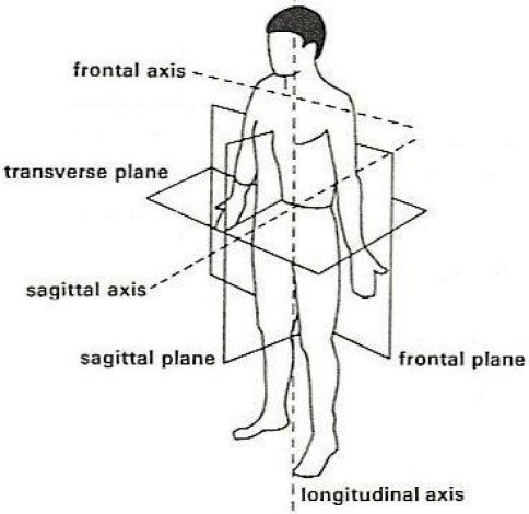 sagittal axis